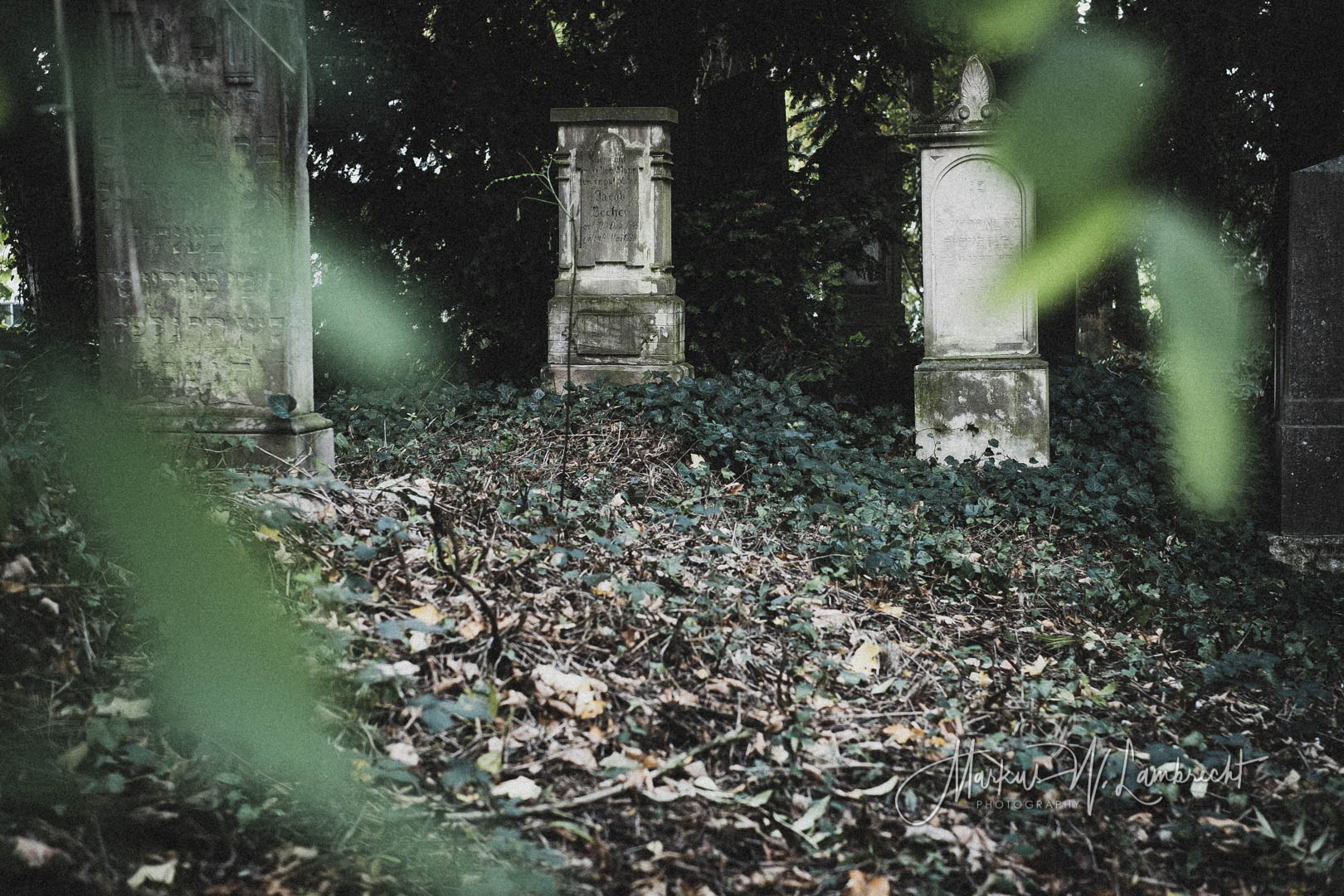 Steinheim (Westfalen), Jüdischer Friedhof